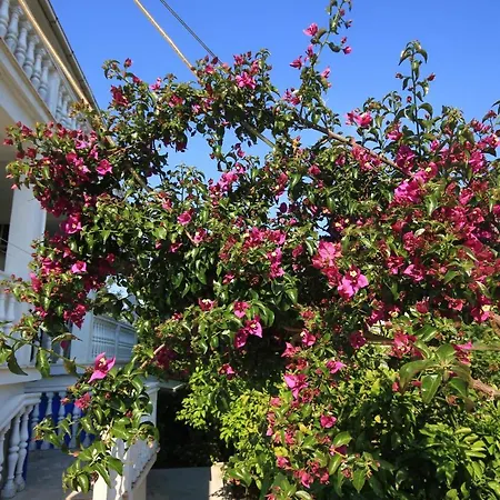 With A Parking Space Orebic, Peljesac - 4546 Apartment *