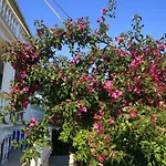 With Parking Space Orebic, Peljesac - 4546 Lejlighed *