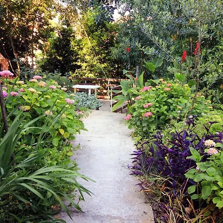 Apartamento With Parking Space Orebic, Peljesac - 4546 *