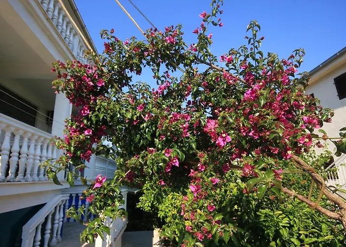 With Parking Space Orebic, Peljesac - 4546 Apartamento *