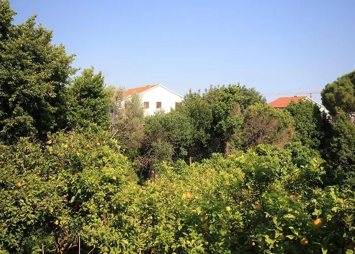 Apartamento With Parking Space Orebic, Peljesac - 4546 Orebić